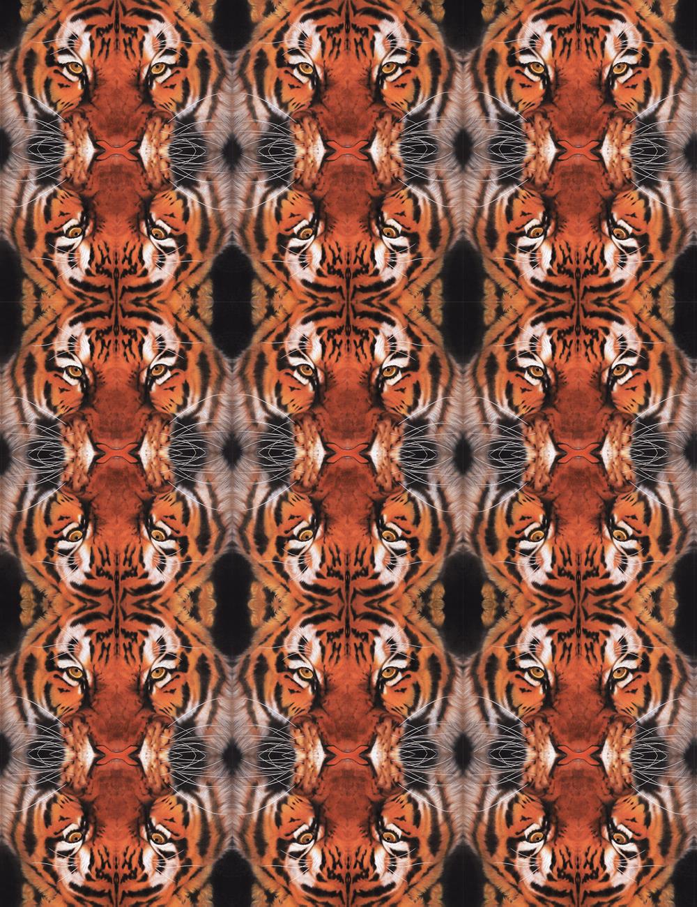 c9790e630715484e8e45ea4f5e88e38e.jpg